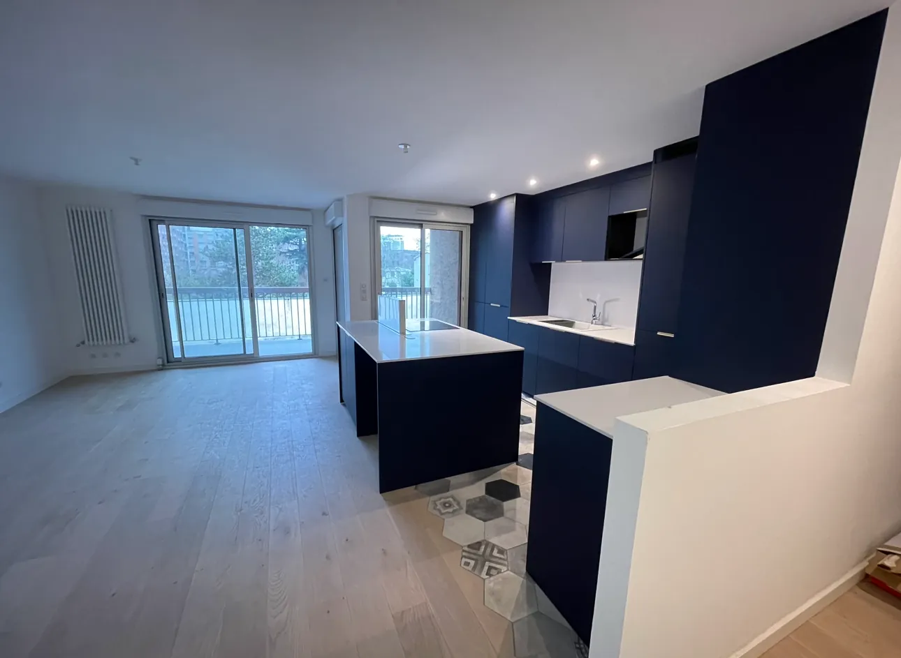 Rénovation d'un appartement au cœur de Toulouse, Toulouse centre